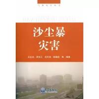 音像气象灾害丛书--沙尘暴灾害王式功 等