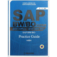 音像SAP BW/BO实战指南——像学习Office一样学习BW/BO张俊