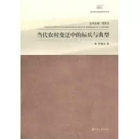 音像当代农村变迁中的标兵与典型叶扬兵著