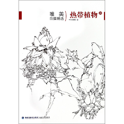 音像热带植物(4)/唯美白描精选绘画:刘秋阳