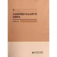 音像企业集群演进中的企业家作用机理研究郑春颖著