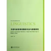 音像汉语句首受事话题的句法与语篇研究童剑平