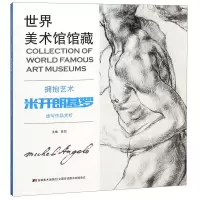音像拥抱艺术(米开朗基罗速写作品赏析)/世界美术馆馆藏编者:陈凯
