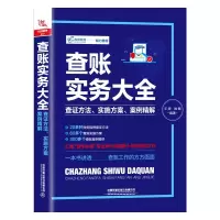 音像查账实务大全(查方法实施方案案例精解)编者:王婷//姚敏