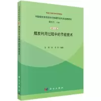 音像煤炭利用过程中的节能技术金涌,陈勇等编著