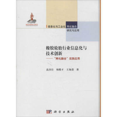 音像橡胶轮胎行业信息化与技术创新高彦臣