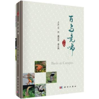 音像百鸟竞啼王武,虞定华,李云侠主编
