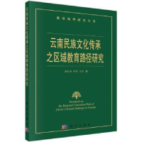 音像云南民族文化传承之区域教育路径研究谢红雨,伊理,肖荷著