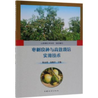 音像枣树良种与高效栽培实用技术山西省红枣协会 编