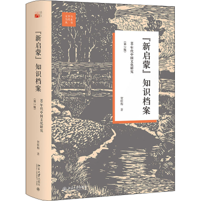 音像"新启蒙"知识档案 80年代中国文化研究(第2版)贺桂梅