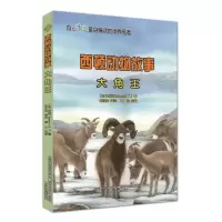 音像西顿动物故事.大角王(加)西顿