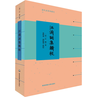音像汪渊词集辑校[清]汪渊