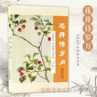 音像花开待岁月 《诗经》中的草木芳华南南