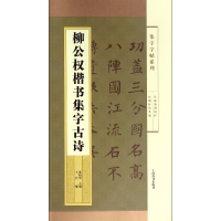 音像柳公权楷书集字古诗/集字字帖系列编者:王宾|总主编:郑晓华