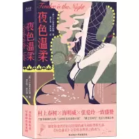 音像夜色温柔(美)F.S.菲茨杰拉德
