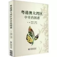 音像粤港澳大湾区草图谱夏连虎 [等]主编