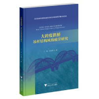 音像大跨度拱桥:吊杆结构风致疲劳研究丁杨,叶肖伟著