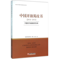 音像中国开放褐皮书(2014-2015)综合开发研究院(中国·深圳) 著