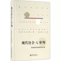 音像现代社会与审判:民事诉讼的地位和作用(日)田中成明著