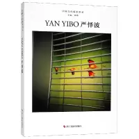 音像严怿波(精)/中国当代摄影图录总主编:刘铮