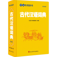 音像古代汉语词典 双色版汉语大字典编纂处 编