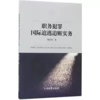 音像职务犯罪国际追逃追赃实务杨兴国 著