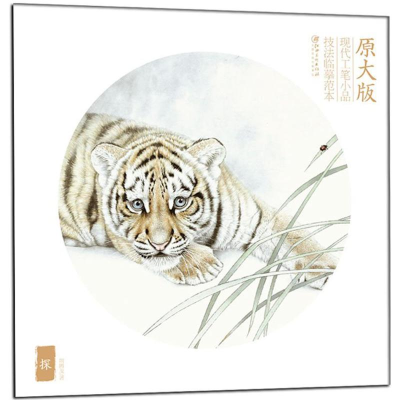 音像探荆腾龙 著