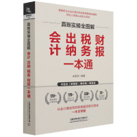 音像真账实操全图解(会计出纳税务财报一本通)朱菲菲