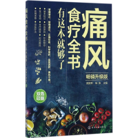 音像痛风食疗全书高振军,杨栋 主编