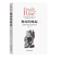 音像脆弱的崛起(大战略与德意志帝国的命运修订本)徐弃郁