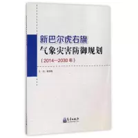 音像新巴尔虎右旗气象灾害防御规划苗冬梅 主编