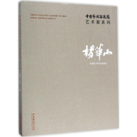 音像中国艺术研究院艺术家系列连辑 主编;杨华山 著