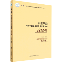 音像企聚丝路 海外中国企业高质量发展调查 肯尼亚张佳梅 等