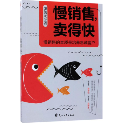 音像慢销售,卖得快张凯元 著