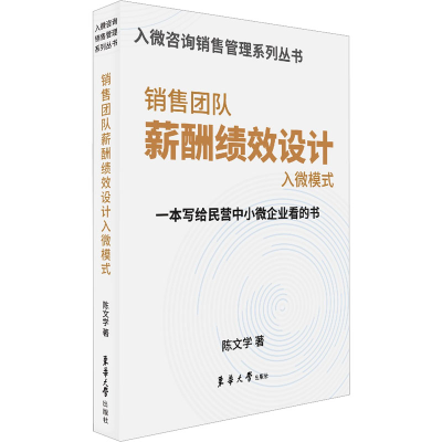 音像销售团队薪酬绩效设计入微模式陈文学
