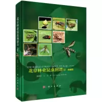 音像北京林业昆虫图谱(3) 双翅目虞国跃;王合
