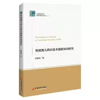 音像粤港澳大湾区技术创新协同研究陈穗丽