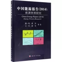 音像中国能源报告(2014)魏一鸣 等 著