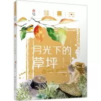 音像月光下的草坪滕毓旭