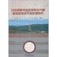 音像川中须家河组低渗砂岩气藏渗流规律及开发机理高树 等