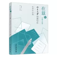 音像在兹集——北京大学创意写作作品选(中篇小说卷)金永兵