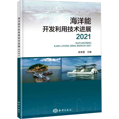 音像海洋能开发利用技术进展 2021麻常雷
