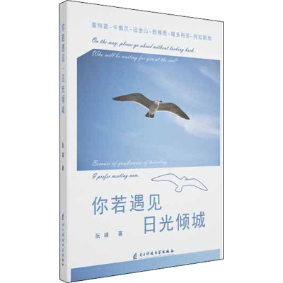 音像你若遇见 日光倾城阮靖