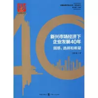 音像新兴市场经济下企业发展40年 困惑、选择和希望刘小玄