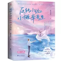 音像反转小姐和小概率先生(青春都市爱情小说)莲沐初光 著