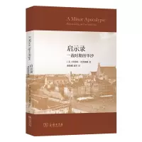 音像启示录:一战时期的华沙(美)罗伯特·布洛鲍姆