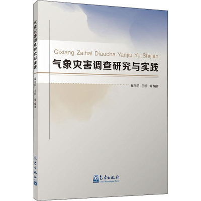 音像气象灾害调查研究与实践程向阳 等