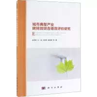 音像城市典型产业碳排放综合绩效评价研究赵荣钦 等