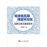 音像低渗高瓦斯煤层采空区瓦斯立体式抽采技术张巨峰