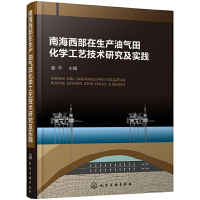 音像南海西部在生产油气田化学工艺技术研究及实践姜平 主编